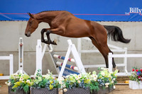 The Billy Stud Auction