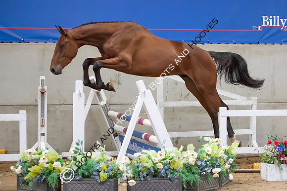 The Billy Stud Auction