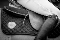 The Royal Windsor Horse Show