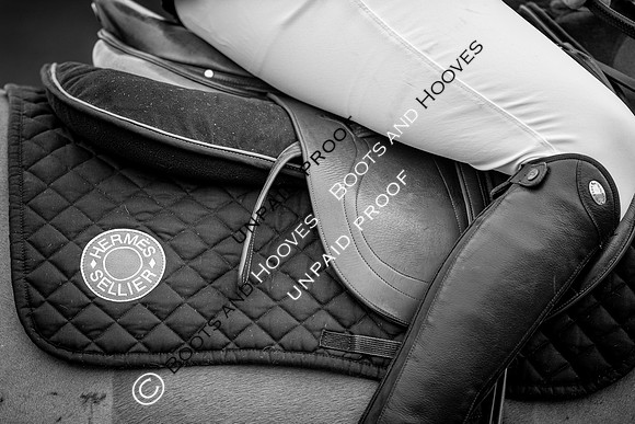 The Royal Windsor Horse Show