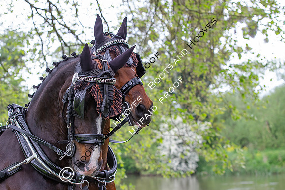 The Royal Windsor Horse Show