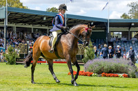The Agria Royal International Horse Show