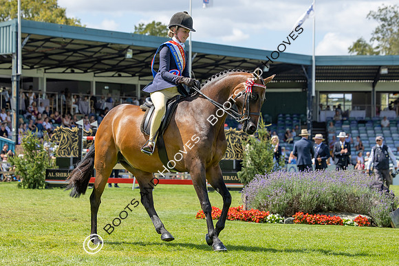 The Agria Royal International Horse Show
