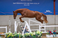 The Billy Stud Auction