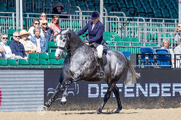Royal Windsor Horse Show