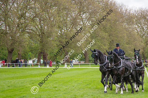 The Royal Windsor Horse Show