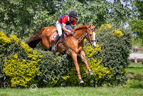 The Childeric Saddles Little Downham (1)