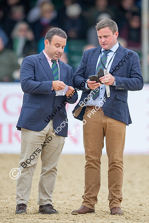 The Royal Windsor Horse Show