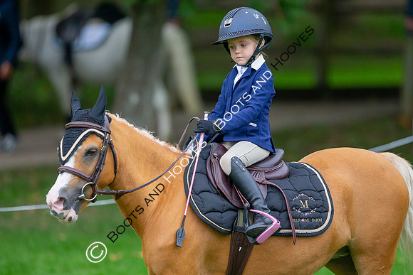 Science Supplements All England Jumping Championships