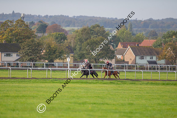 Newmarket