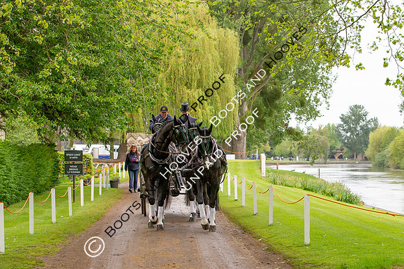 The Royal Windsor Horse Show