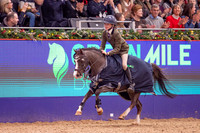 The London International Horse Show