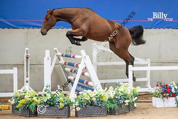 The Billy Stud Auction