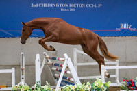 The Billy Stud Auction