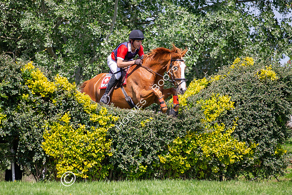 The Childeric Saddles Little Downham (1)