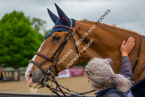 The Royal Windsor Horse Show
