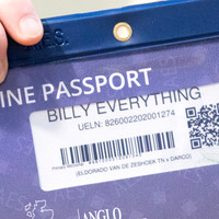 The Billy Stud Auction