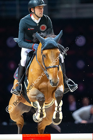 Showjumping