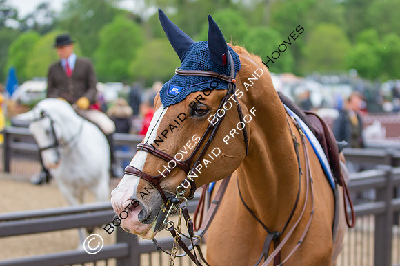 The Royal Windsor Horse Show