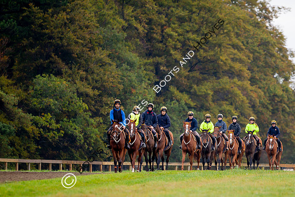 Newmarket