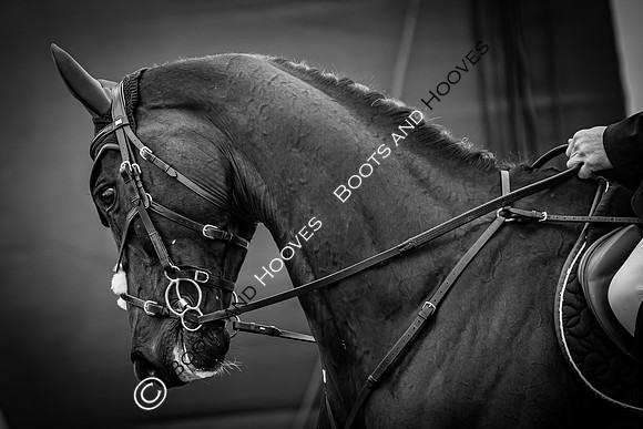 Badminton Horse Trials presented by Mars Equestrian