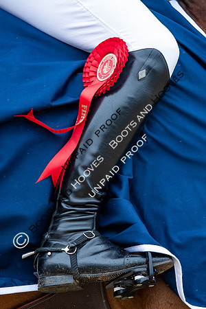 The Royal Windsor Horse Show