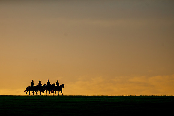 Newmarket Gallops