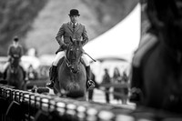 The Royal Windsor Horse Show