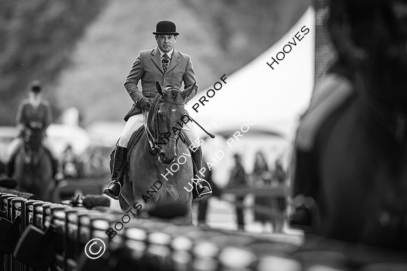 The Royal Windsor Horse Show
