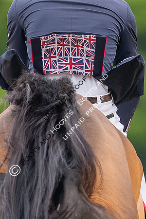 The Royal Windsor Horse Show