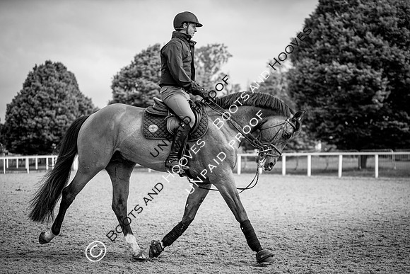 The Royal Windsor Horse Show