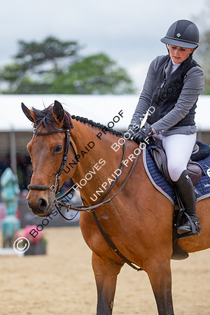 The Royal Windsor Horse Show