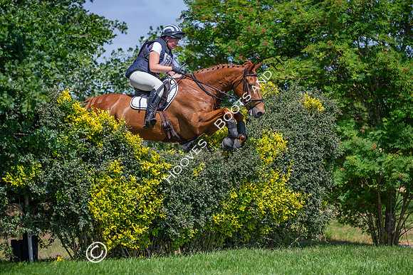 The Childeric Saddles Little Downham (1)