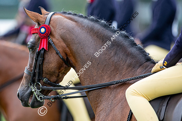 The Prenetics Royal International Horse Show