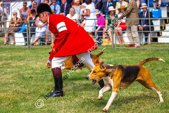 Festival of Hunting