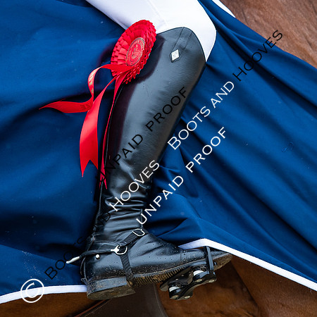 The Royal Windsor Horse Show