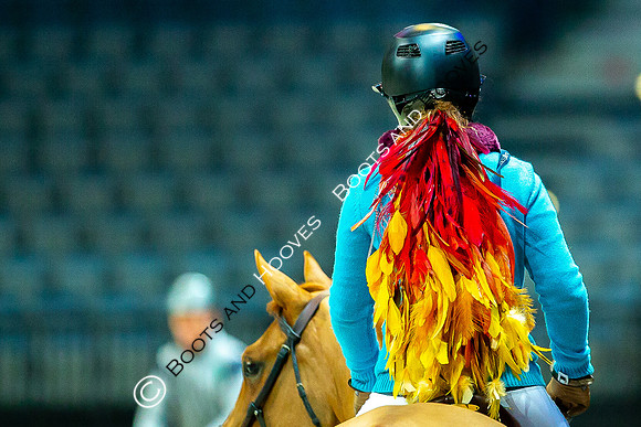 Showjumping