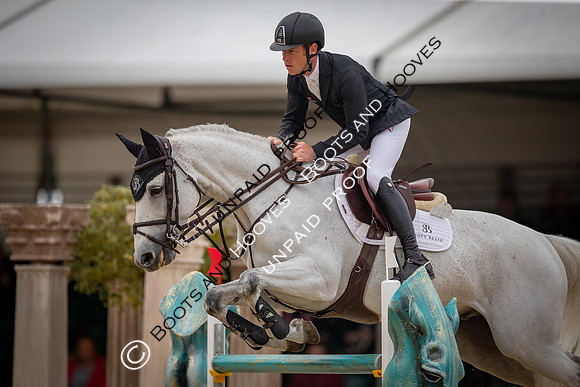 The Royal Windsor Horse Show