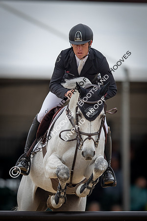 The Royal Windsor Horse Show