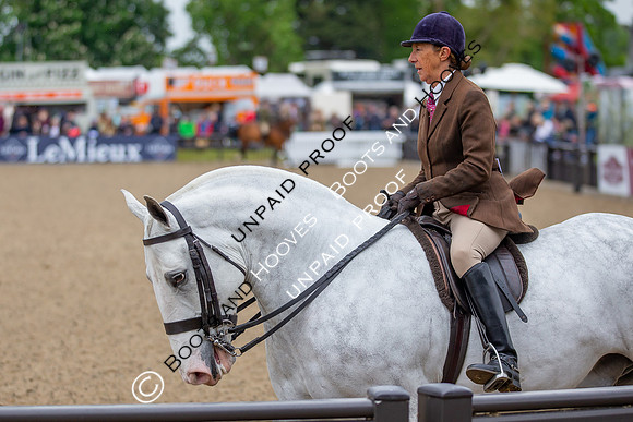 The Royal Windsor Horse Show