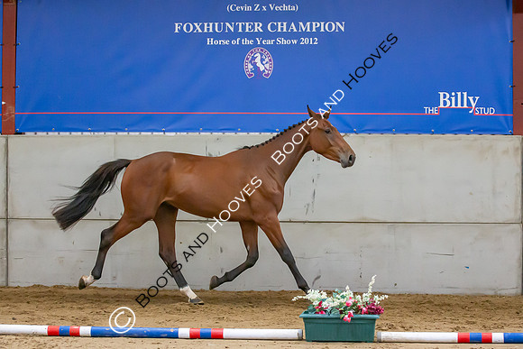 The Billy Stud Auction