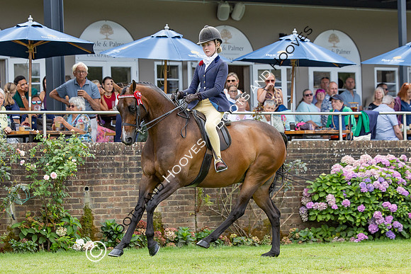 The Agria Royal International Horse Show