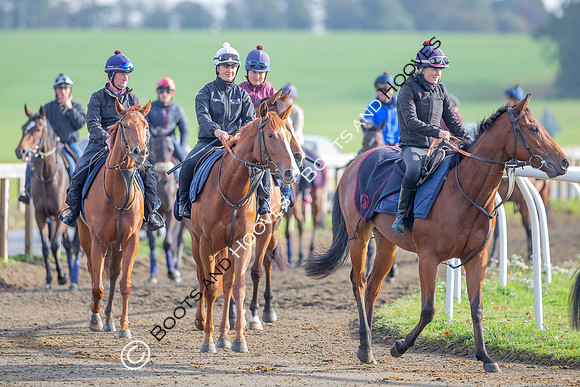Newmarket
