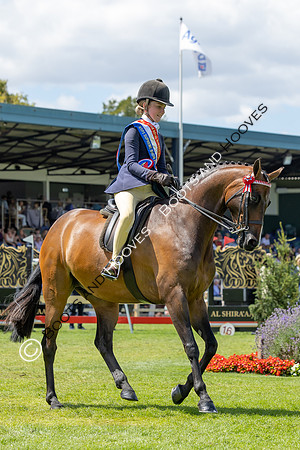 The Agria Royal International Horse Show