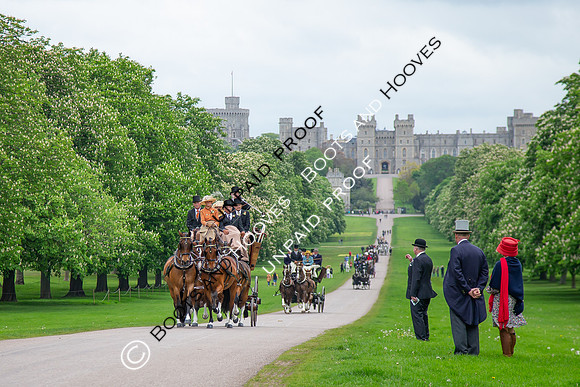 The Royal Windsor Horse Show