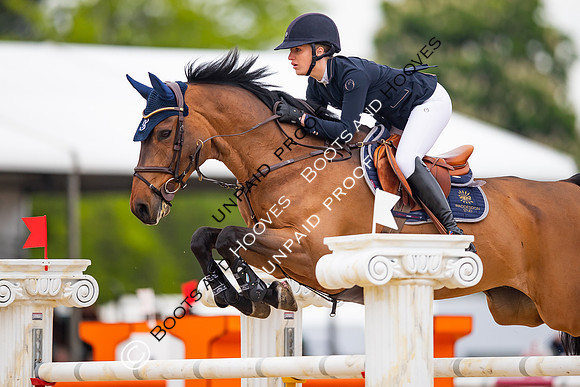 The Royal Windsor Horse Show