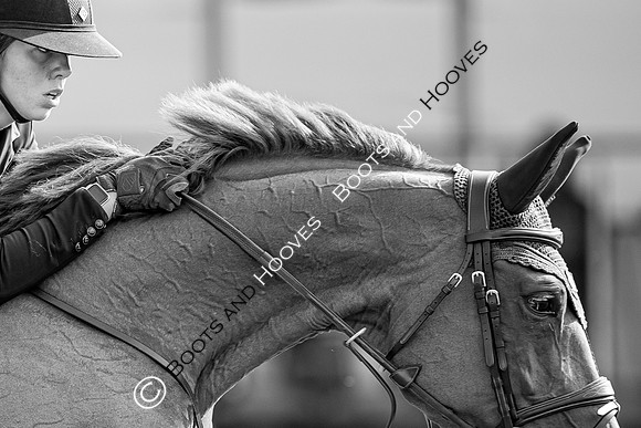The Prenetics Royal International Horse Show