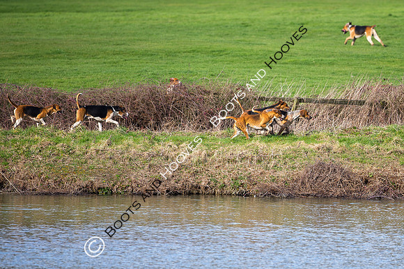 Hunting
