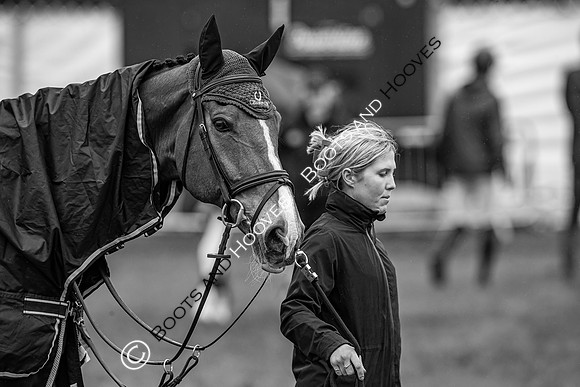 Badminton Horse Trials presented by Mars Equestrian
