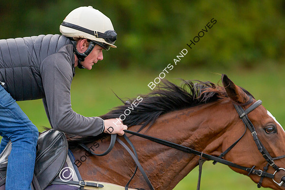 Newmarket